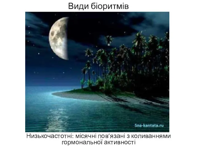 Види біоритмів Низькочастотні: місячні пов’язані з коливаннями гормональної активності