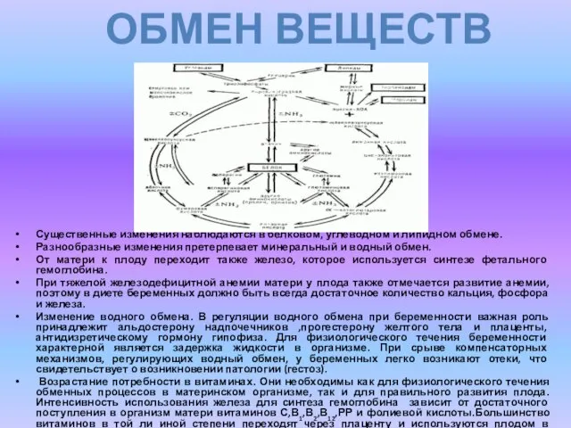 Существенные изменения наблюдаются в белковом, углеводном и липидном обмене. Разнообразные изменения