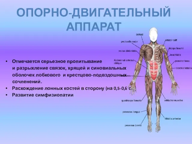 Отмечается серьезное пропитывание и разрыхление связок, хрящей и синовиальных оболочек лобкового