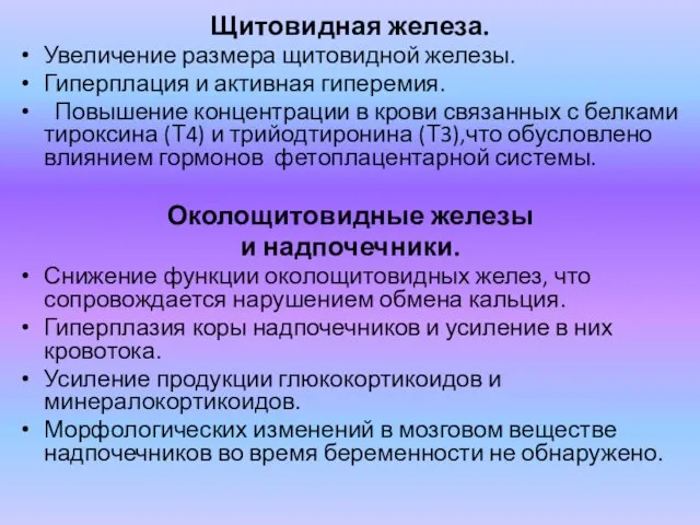 Щитовидная железа. Увеличение размера щитовидной железы. Гиперплация и активная гиперемия. Повышение