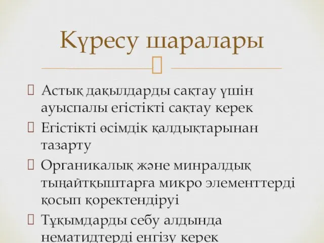 Астық дақылдарды сақтау үшін ауыспалы егістікті сақтау керек Егістікті өсімдік қалдықтарынан