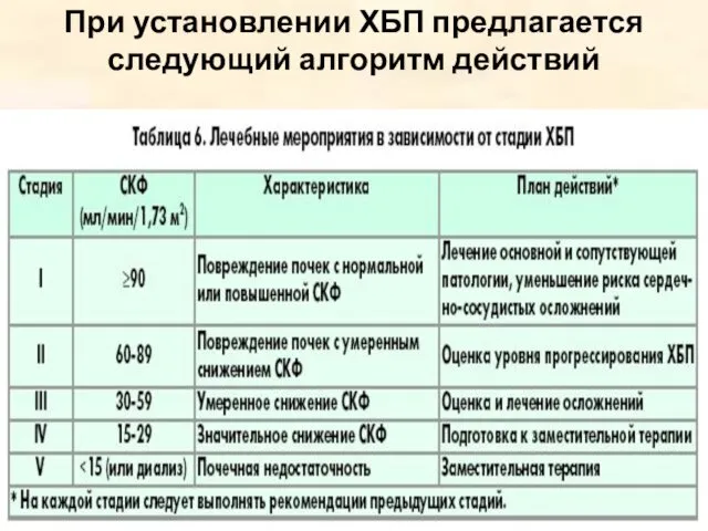 При установлении ХБП предлагается следующий алгоритм действий