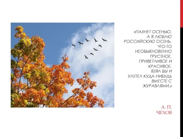 «ПАХНЕТ ОСЕНЬЮ. А Я ЛЮБЛЮ РОССИЙСКУЮ ОСЕНЬ. ЧТО-ТО НЕОБЫКНОВЕННО ГРУСТНОЕ, ПРИВЕТЛИВОЕ