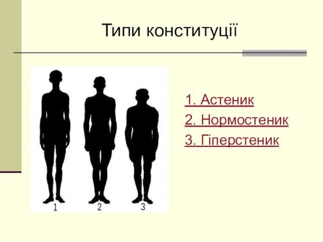 Типи конституції 1. Астеник 2. Нормостеник 3. Гіперстеник