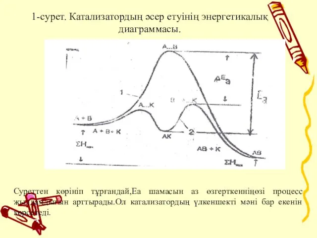 1-сурет. Катализатордың әcep eтyiнің энергетикалық диаграммасы.