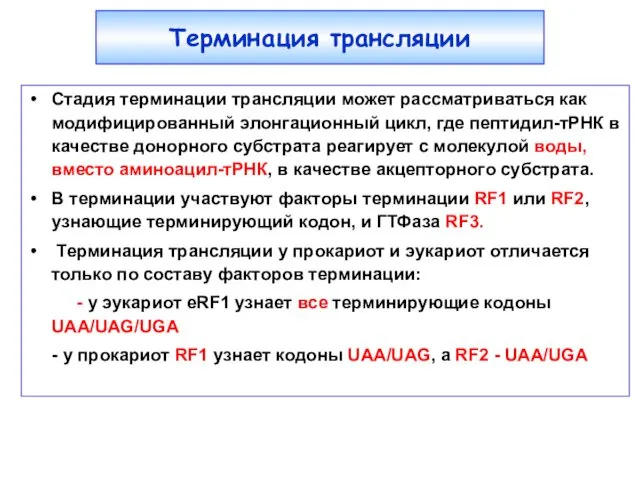 Терминация трансляции Стадия терминации трансляции может рассматриваться как модифицированный элонгационный цикл,