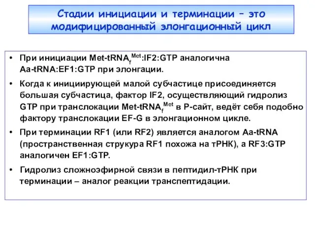 Стадии инициации и терминации – это модифицированный элонгационный цикл При инициации