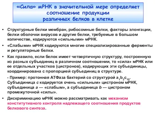 «Сила» мРНК в значительной мере определяет соотношение продукции различных белков в