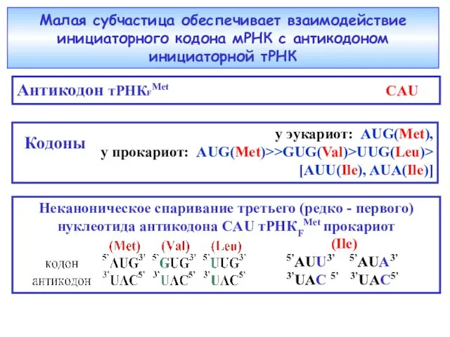 Неканоническое спаривание третьего (редко - первого) нуклеотида антикодона CAU тРНКFMet прокариот