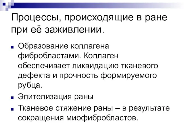 Процессы, происходящие в ране при её заживлении. Образование коллагена фибробластами. Коллаген