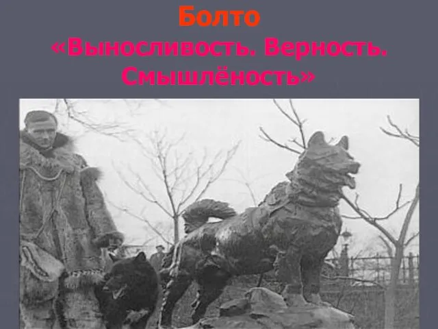 Болто «Выносливость. Верность. Смышлёность»