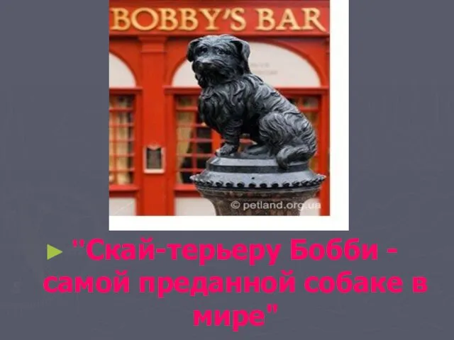 "Скай-терьеру Бобби - самой преданной собаке в мире"