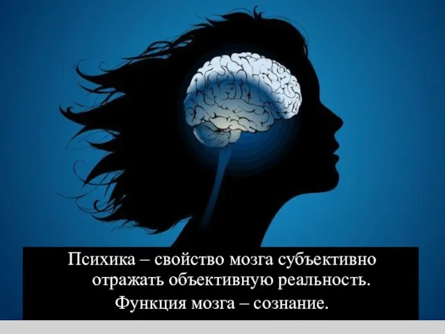 Психика – свойство мозга субъективно отражать объективную реальность. Функция мозга – сознание.