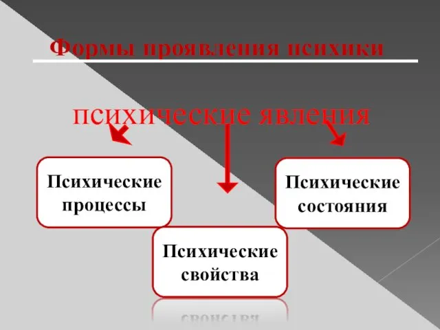 Формы проявления психики психические явления Психические процессы Психические свойства Психические состояния