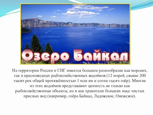 На территории России и СНГ имеется большое разнообразие как морских, так