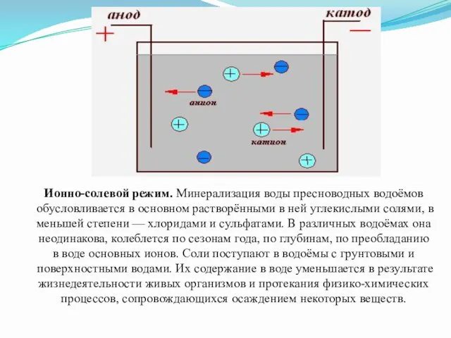 Ионно-солевой режим. Минерализация воды пресноводных водоёмов обусловливается в основном растворёнными в