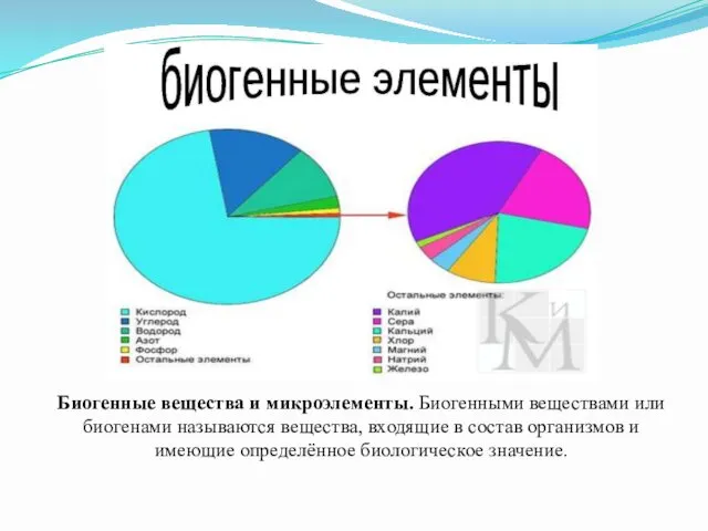 Биогенные вещества и микроэлементы. Биогенными веществами или биогенами называются вещества, входящие