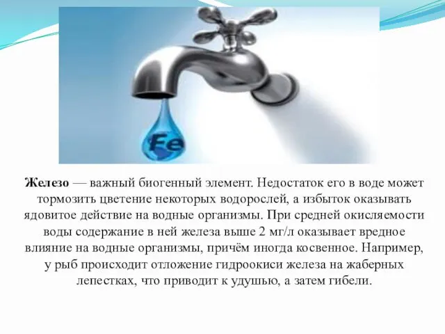 Железо — важный биогенный элемент. Недостаток его в воде может тормозить