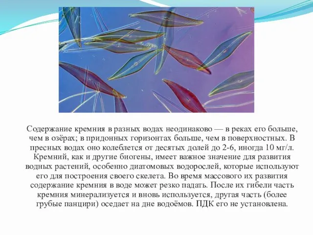 Содержание кремния в разных водах неодинаково — в реках его больше,