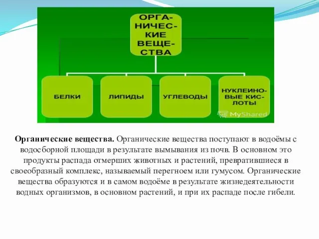 Органические вещества. Органические вещества поступают в водоёмы с водосборной площади в