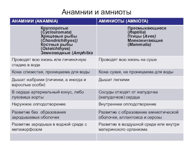 Анамнии и амниоты