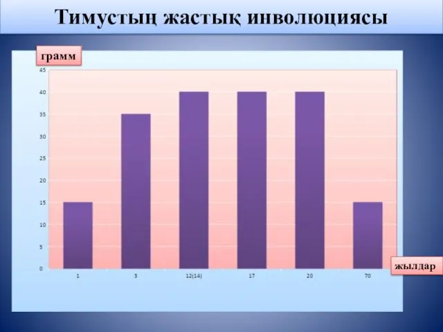 Тимустың жастық инволюциясы грамм жылдар