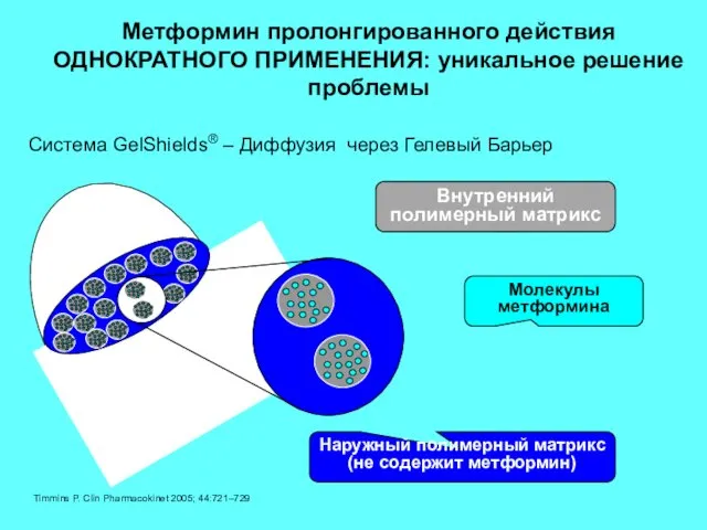 Наружный полимерный матрикс (не содержит метформин) Внутренний полимерный матрикс Молекулы метформина