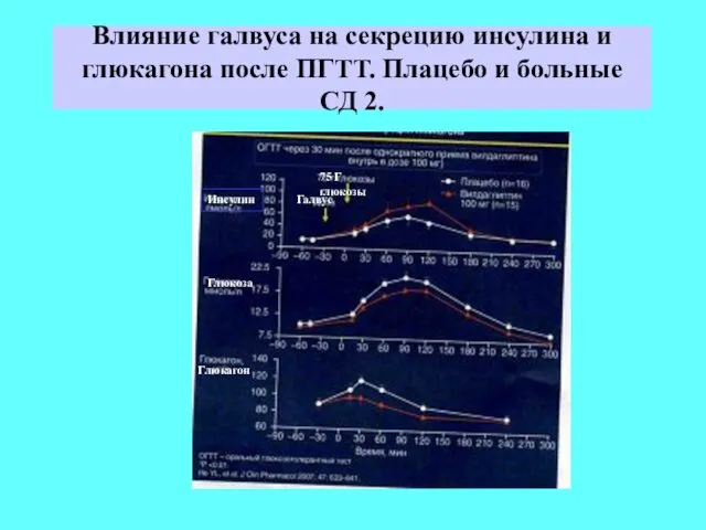 Влияние галвуса на секрецию инсулина и глюкагона после ПГТТ. Плацебо и