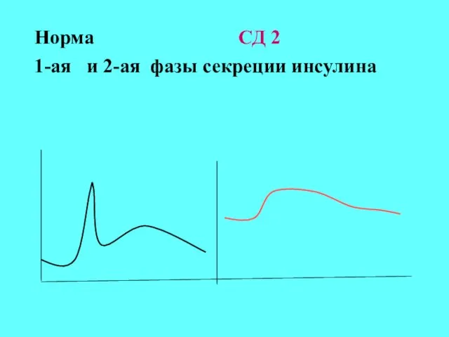 Норма СД 2 1-ая и 2-ая фазы секреции инсулина