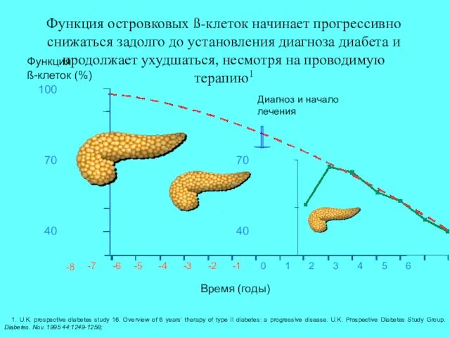 Функция островковых ß-клеток начинает прогрессивно снижаться задолго до установления диагноза диабета