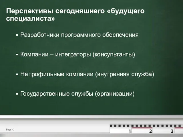 Перспективы сегодняшнего «будущего специалиста» Разработчики программного обеспечения Компании – интеграторы (консультанты)