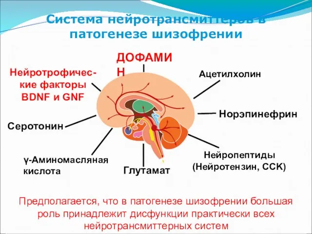 Система нейротрансмиттеров в патогенезе шизофрении Предполагается, что в патогенезе шизофрении большая