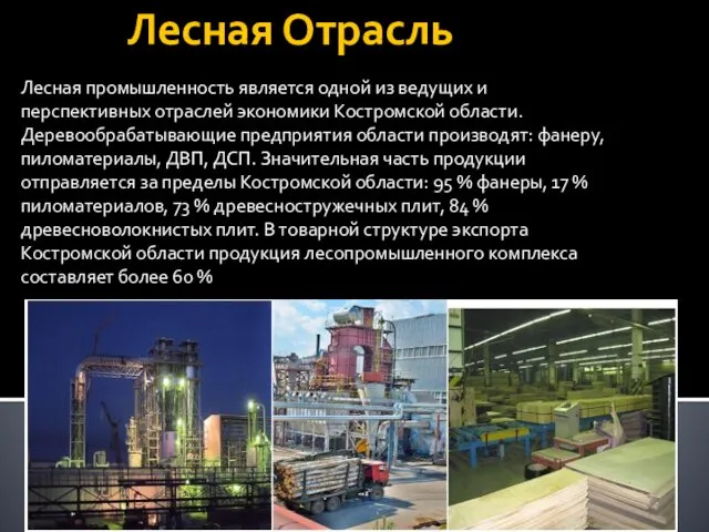 Лесная Отрасль Лесная промышленность является одной из ведущих и перспективных отраслей