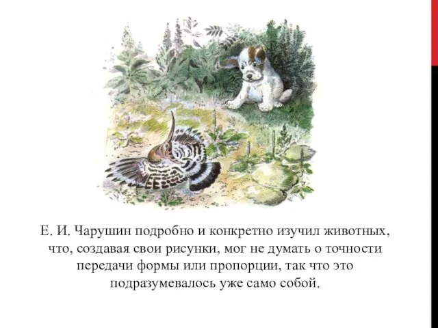 Е. И. Чарушин подробно и конкретно изучил животных, что, создавая свои