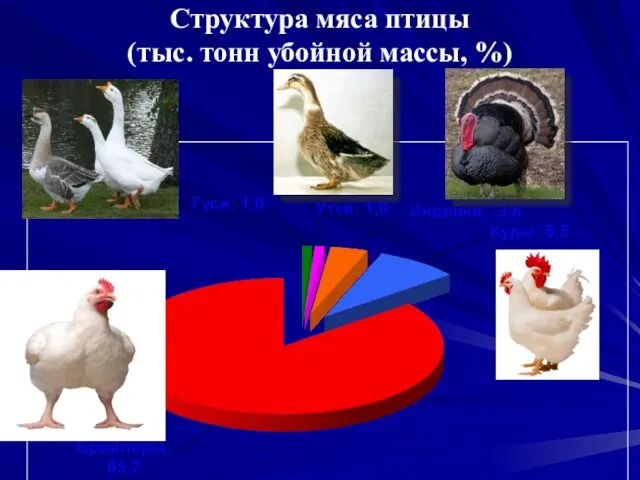 Структура мяса птицы (тыс. тонн убойной массы, %)