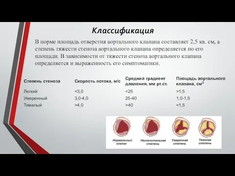 В норме площадь отверстия аортального клапана составляет 2,5 кв. см, а