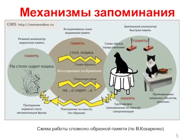 Механизмы запоминания Схема работы словесно-образной памяти (по В.Козаренко)