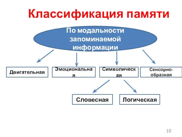 Классификация памяти По модальности запоминаемой информации Двигательная Эмоциональная Сенсорно-образная Символическая Словесная Логическая