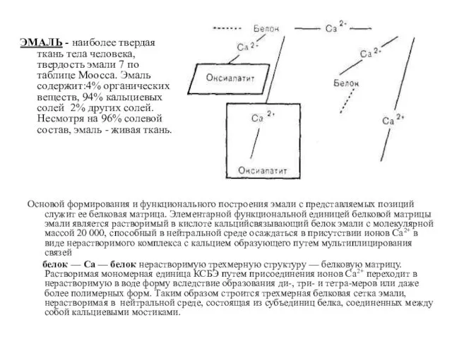 Основой формирования и функционального построения эмали с представляемых позиций служит ее