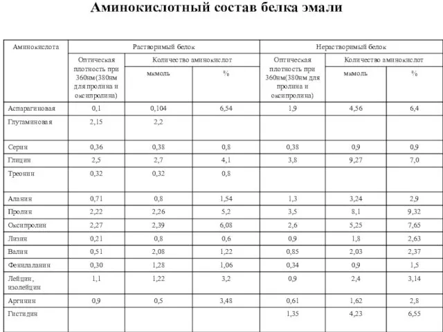 Аминокислотный состав белка эмали