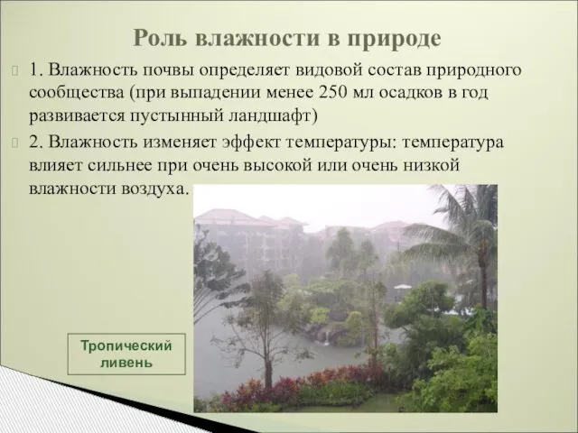 1. Влажность почвы определяет видовой состав природного сообщества (при выпадении менее