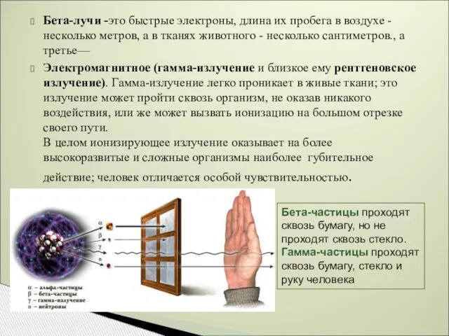 Бета-лучи -это быстрые электроны, длина их пробега в воздухе - несколько