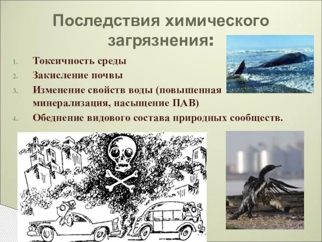 Токсичность среды Закисление почвы Изменение свойств воды (повышенная минерализация, насыщение ПАВ)