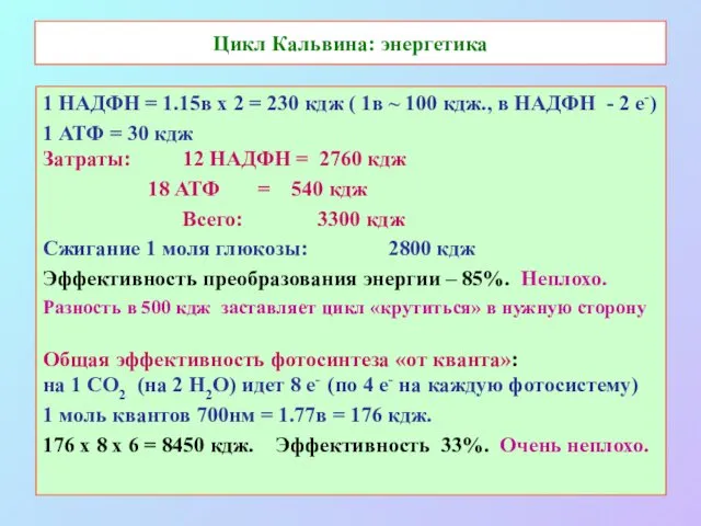 Цикл Кальвина: энергетика 1 НАДФН = 1.15в х 2 = 230