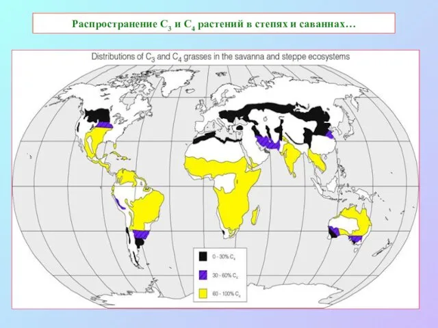 Распространение С3 и С4 растений в степях и саваннах…