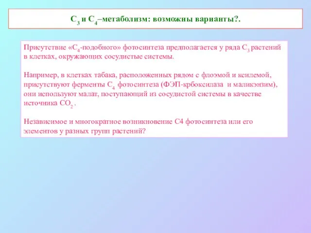 С3 и С4–метаболизм: возможны варианты?. Присутствие «С4-подобного» фотосинтеза предполагается у ряда