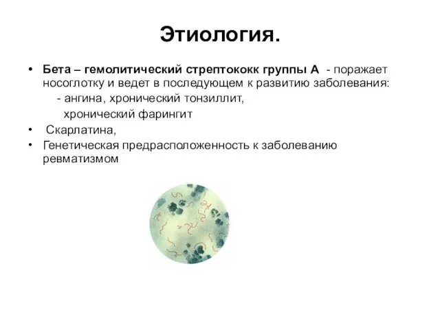 Этиология. Бета – гемолитический стрептококк группы А - поражает носоглотку и