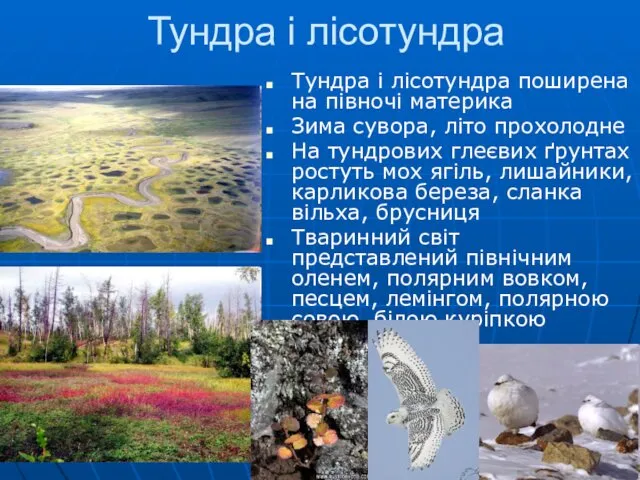 Тундра і лісотундра Тундра і лісотундра поширена на півночі материка Зима