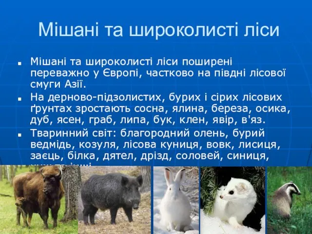 Мішані та широколисті ліси Мішані та широколисті ліси поширені переважно у