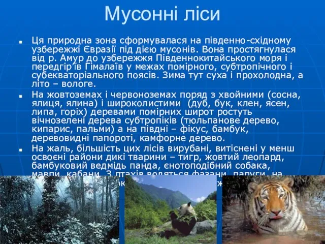 Мусонні ліси Ця природна зона сформувалася на південно-східному узбережжі Євразії під